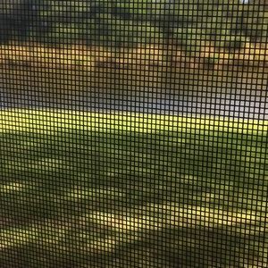 Meet your Posher, Glenn